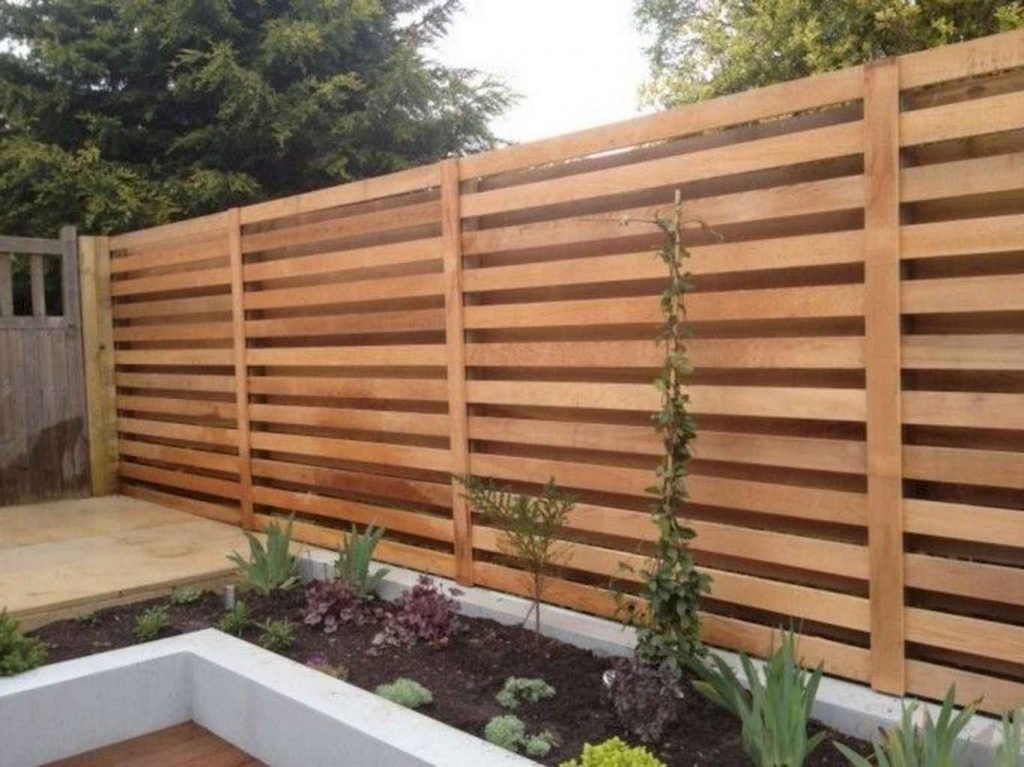 40 DIY Backyard Privacy Fence Design Ideas on A Budget