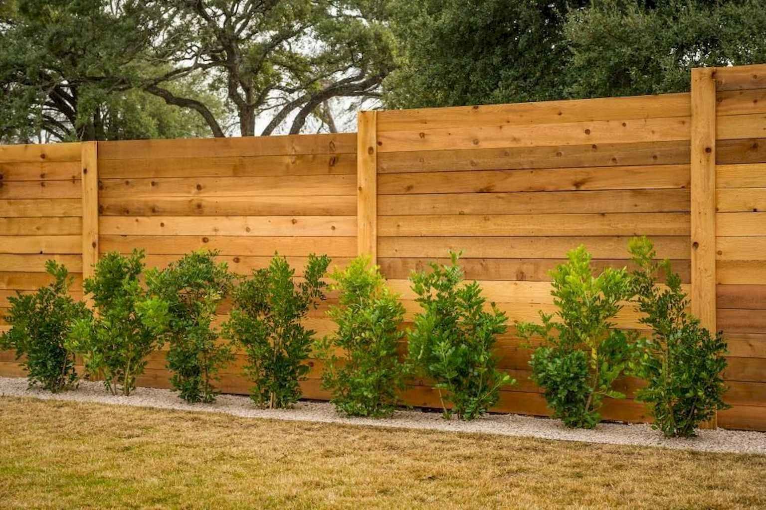 40 DIY Backyard Privacy Fence Design Ideas on A Budget