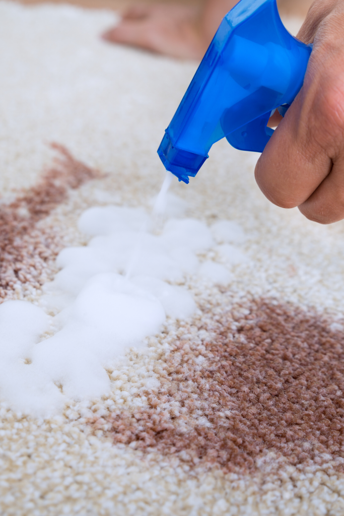 Ways To Remove Stains From Carpets