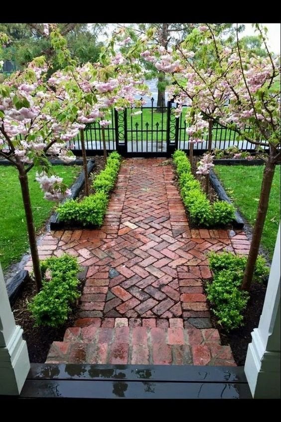 Back Yard Landscaping Ideas