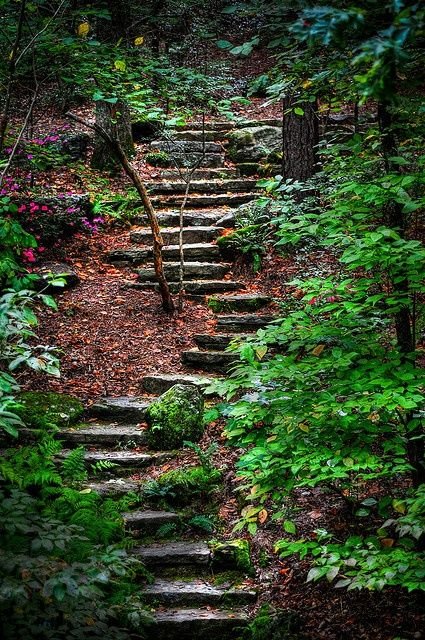 Backyard Rock Pathways