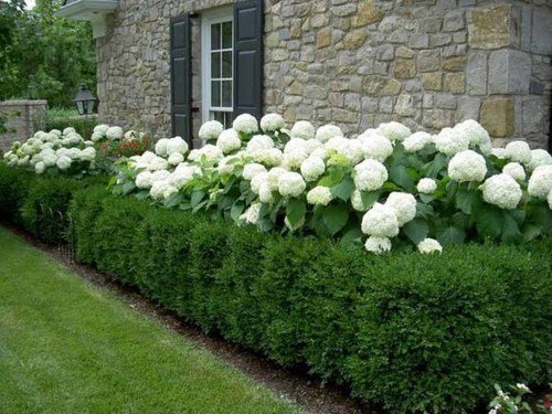 Farmhouse Landscaping Ideas And Tips