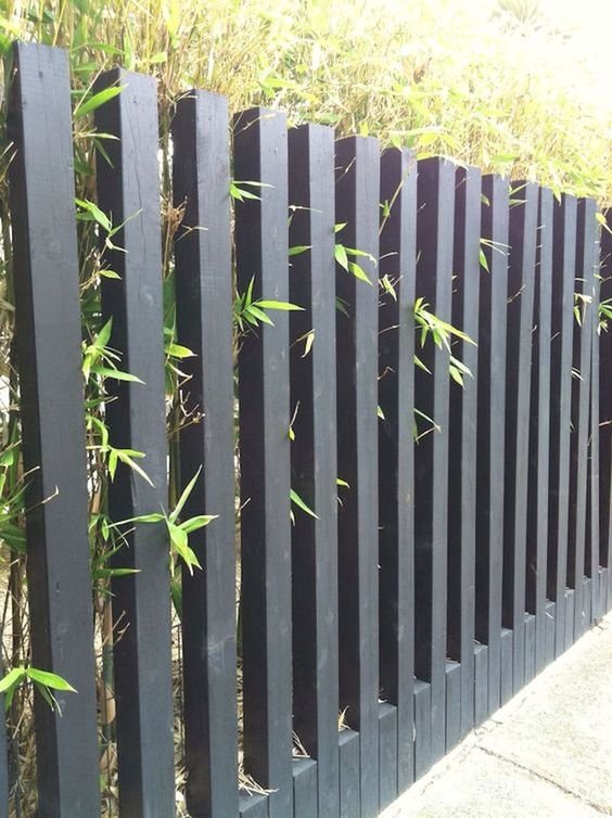 Fence Design Ideas Budget