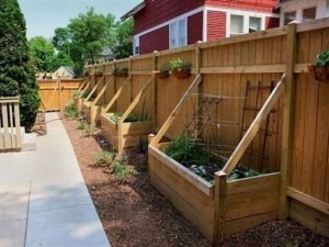 40 DIY Backyard Privacy Fence Design Ideas on A Budget