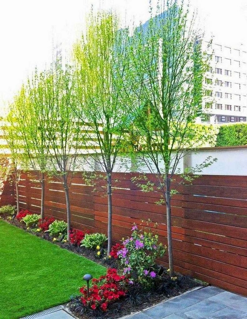 Fence Design Ideas Budget