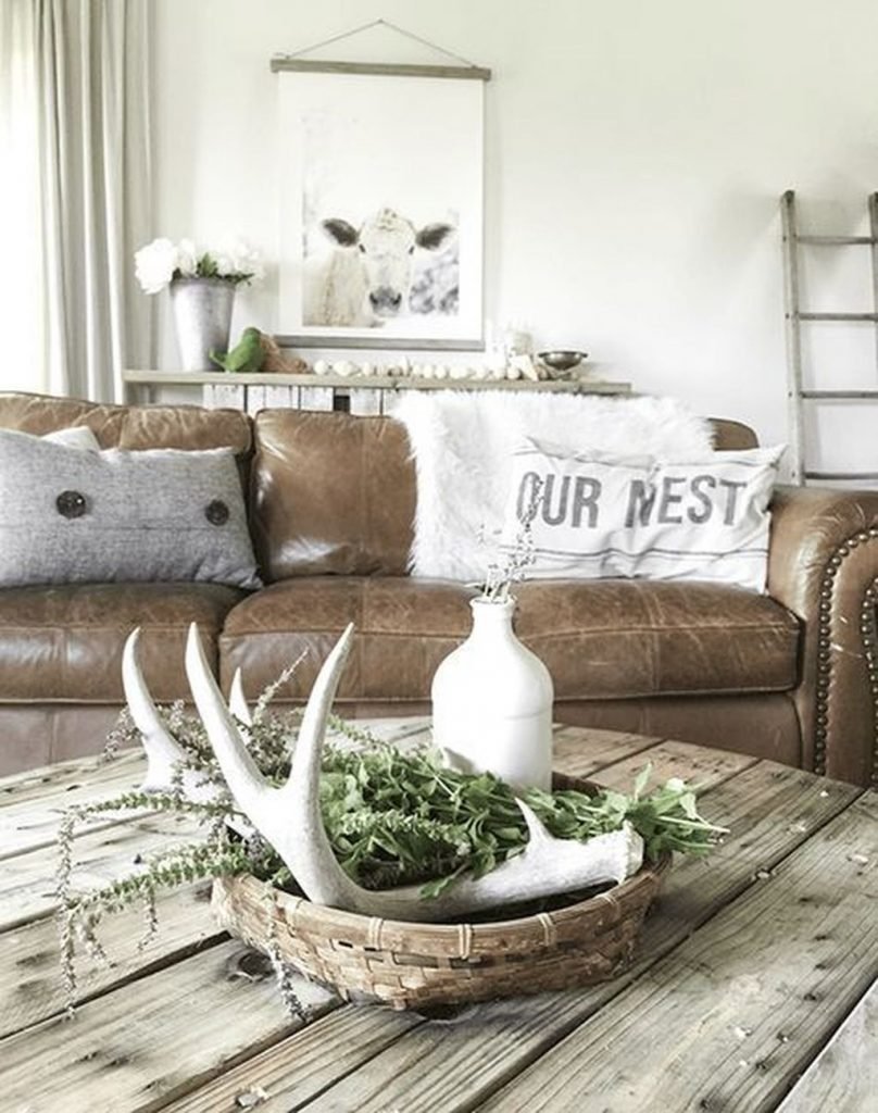 Rustic Living Room Ideas