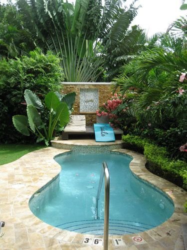 Small Pool Backyard Ideas And Tips on A Budget