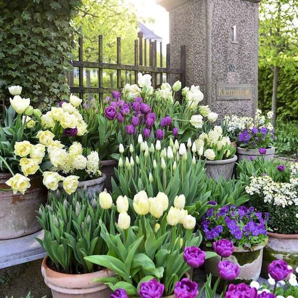 Spring Garden Ideas 