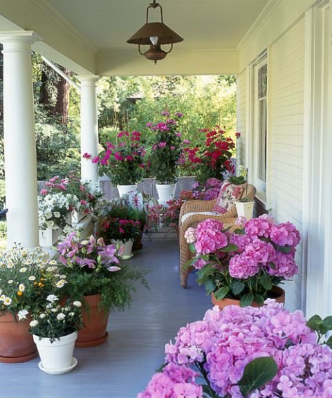 Spring Garden Ideas 