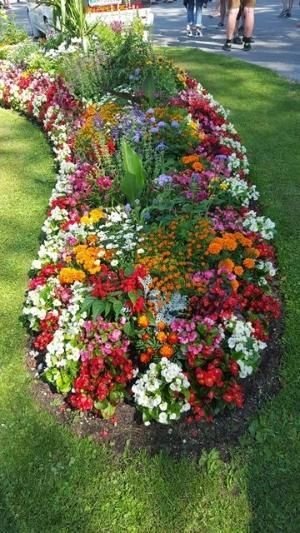 Spring Garden Ideas 