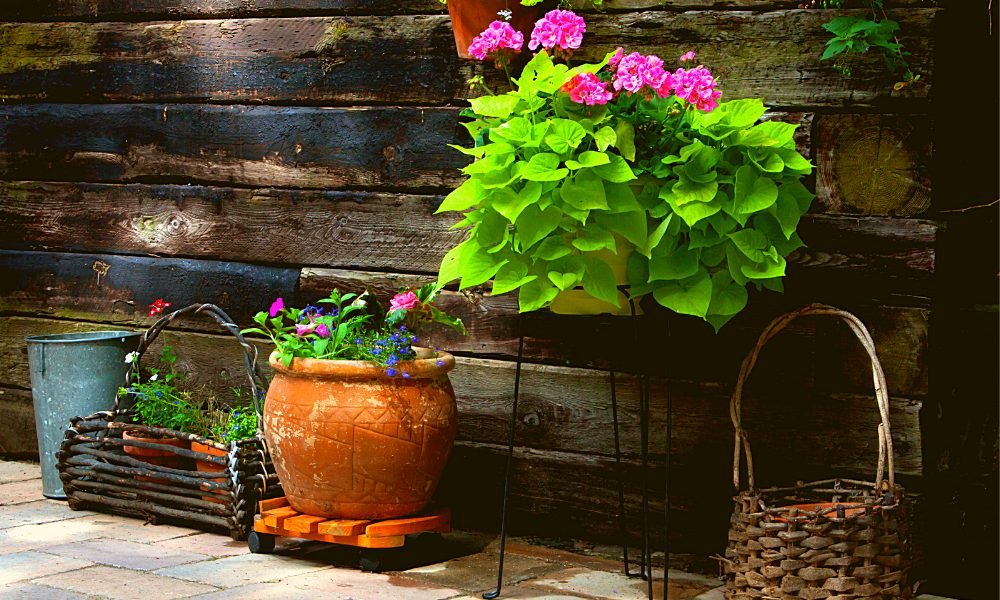 DIY Patio Garden Ideas