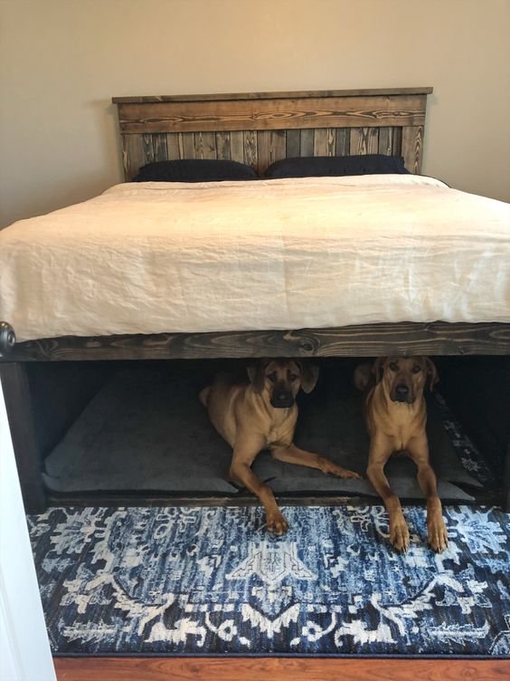 Human Beds with Dog Bed Underneath