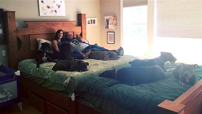 King Size Bed With Dog Bed Built-In