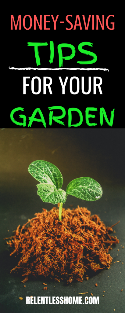 Money-Saving Tips For Your Garden