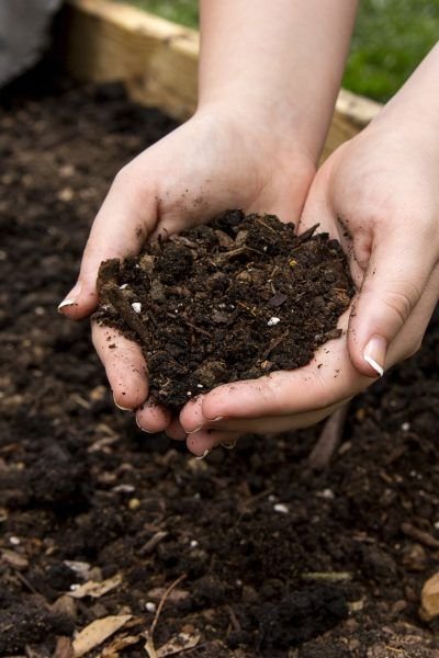 garden compost 