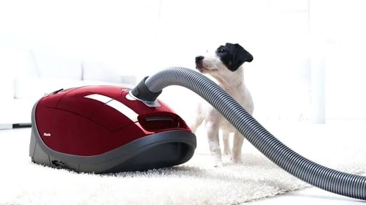 Best Vacuum Cleaner for Pet Hair