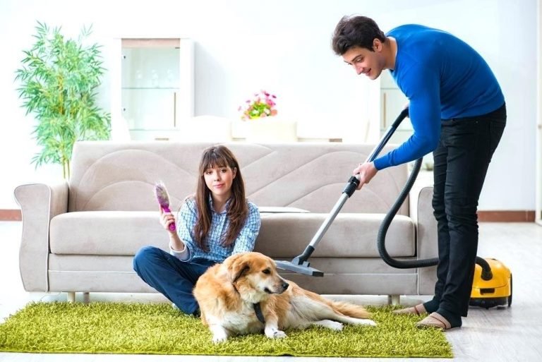 Best Cordless Vacuum For Pet Hair- The Ultimate Guide