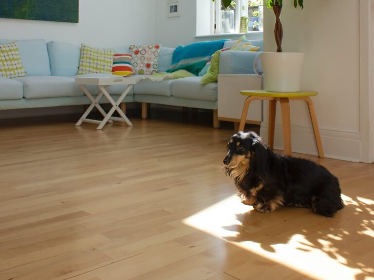 Keeping Floor Clean With Dogs: Tips and Tricks for Cleaning Floors